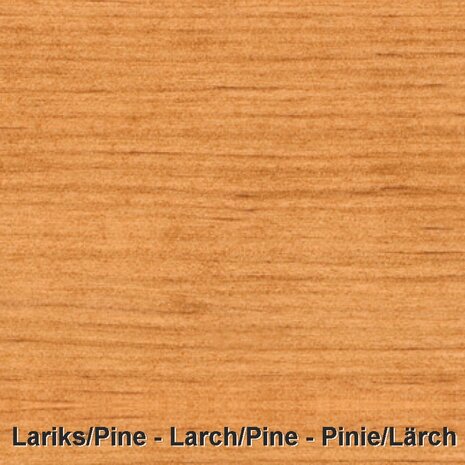 Lariks